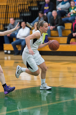 2015 Greendale Girls JV Basketball