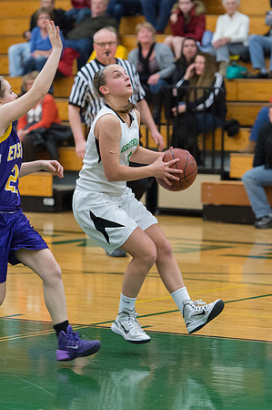 2015 Greendale Girls JV Basketball