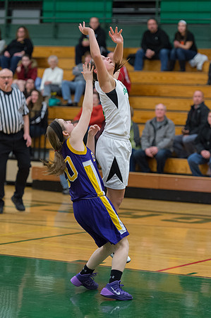 2015 Greendale Girls JV Basketball