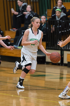 2015 Greendale Girls JV Basketball