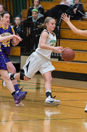 2015 Greendale Girls JV Basketball