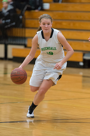 2015 Greendale Girls JV Basketball