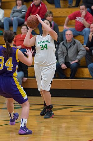 2015 Greendale Girls JV Basketball