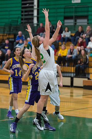 2015 Greendale Girls JV Basketball