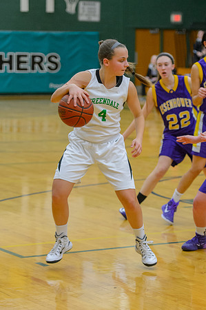 2015 Greendale Girls JV Basketball