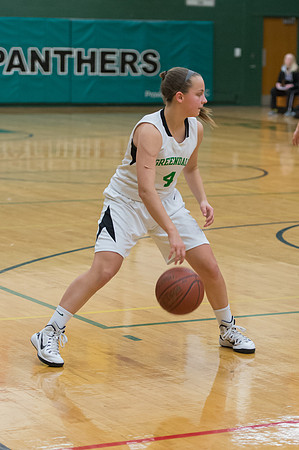 2015 Greendale Girls JV Basketball