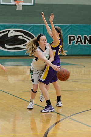 2015 Greendale Girls JV Basketball
