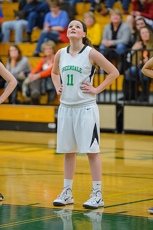 2015 Greendale Girls JV Basketball