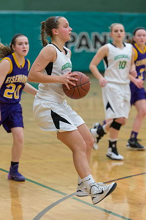 2015 Greendale Girls JV Basketball