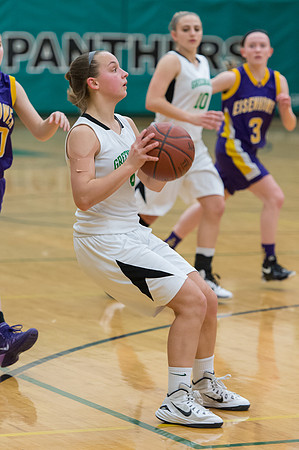 2015 Greendale Girls JV Basketball