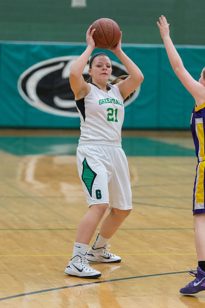 2015 Greendale Girls JV Basketball