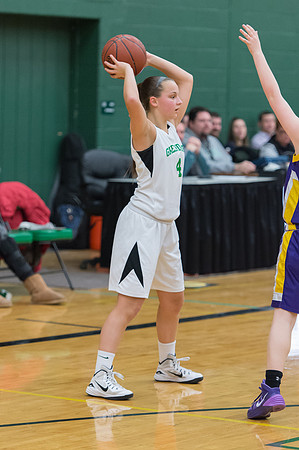 2015 Greendale Girls JV Basketball