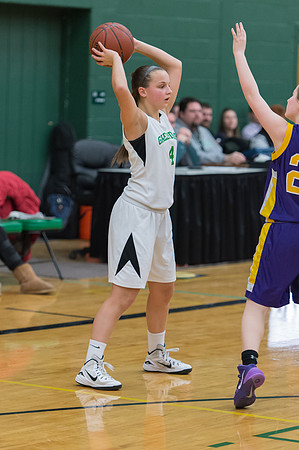 2015 Greendale Girls JV Basketball