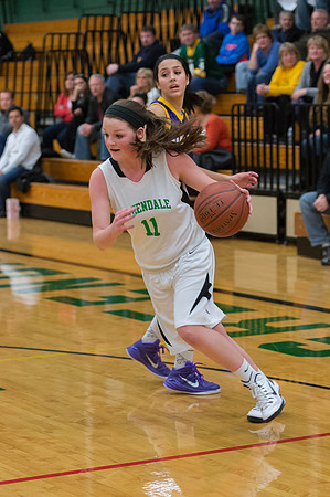 2015 Greendale Girls JV Basketball
