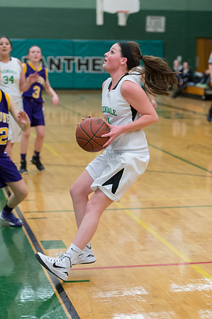 2015 Greendale Girls JV Basketball