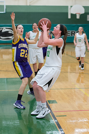 2015 Greendale Girls JV Basketball