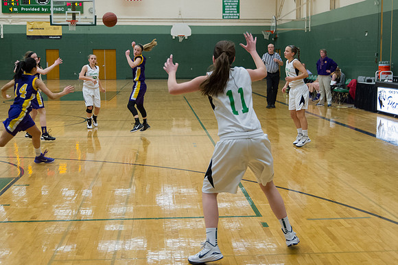 2015 Greendale Girls JV Basketball