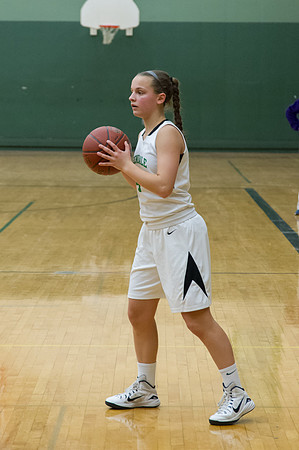 2015 Greendale Girls JV Basketball