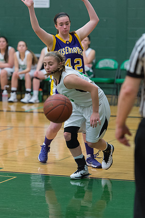 2015 Greendale Girls JV Basketball