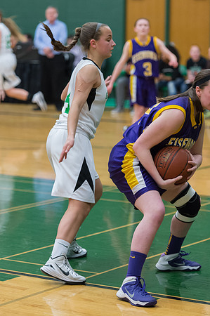 2015 Greendale Girls JV Basketball
