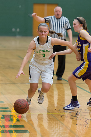 2015 Greendale Girls JV Basketball