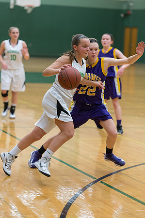 2015 Greendale Girls JV Basketball