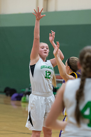 2015 Greendale Girls JV Basketball
