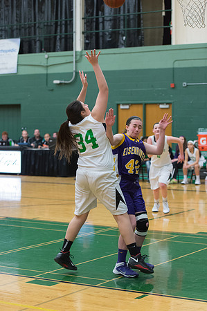 2015 Greendale Girls JV Basketball