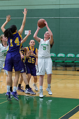 2015 Greendale Girls JV Basketball