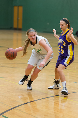 2015 Greendale Girls JV Basketball