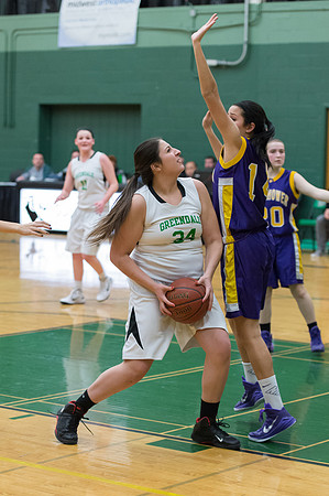 2015 Greendale Girls JV Basketball