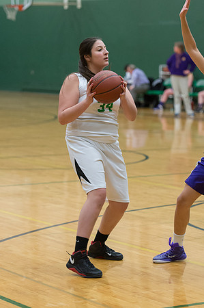 2015 Greendale Girls JV Basketball