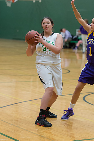 2015 Greendale Girls JV Basketball