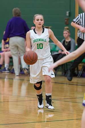 2015 Greendale Girls JV Basketball