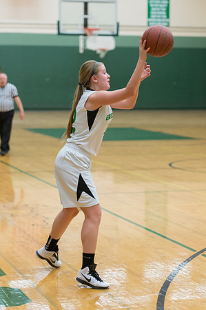 2015 Greendale Girls JV Basketball