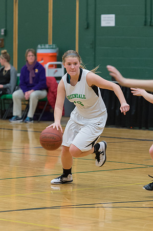 2015 Greendale Girls JV Basketball