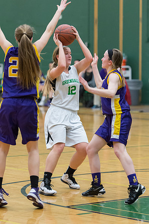 2015 Greendale Girls JV Basketball