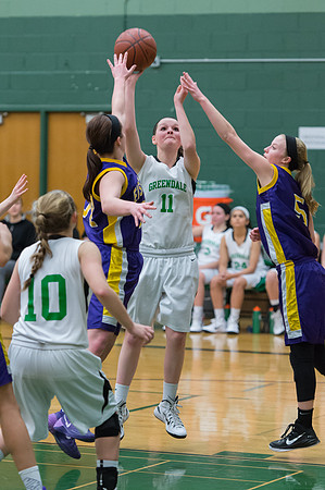 2015 Greendale Girls JV Basketball