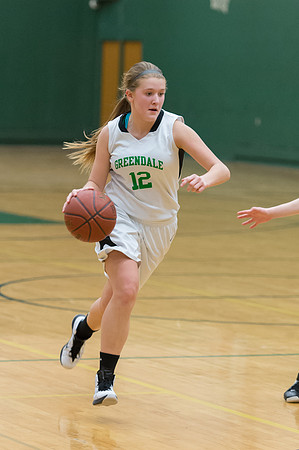 2015 Greendale Girls JV Basketball