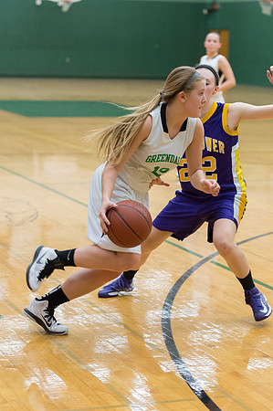 2015 Greendale Girls JV Basketball