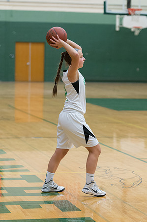 2015 Greendale Girls JV Basketball
