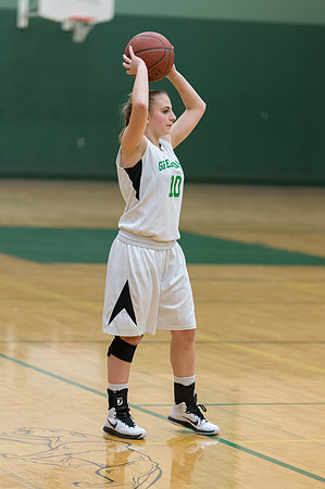 2015 Greendale Girls JV Basketball