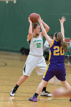 2015 Greendale Girls JV Basketball