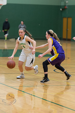 2015 Greendale Girls JV Basketball