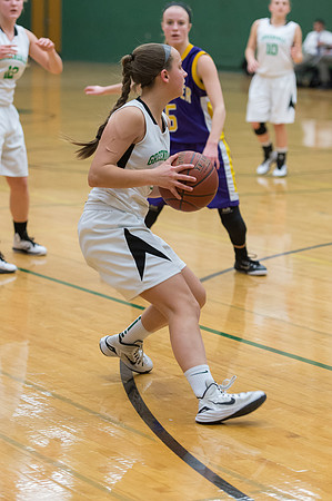 2015 Greendale Girls JV Basketball