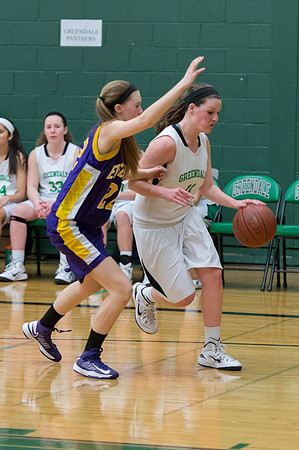 2015 Greendale Girls JV Basketball