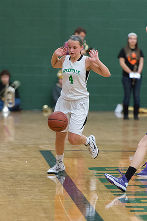 2015 Greendale Girls JV Basketball