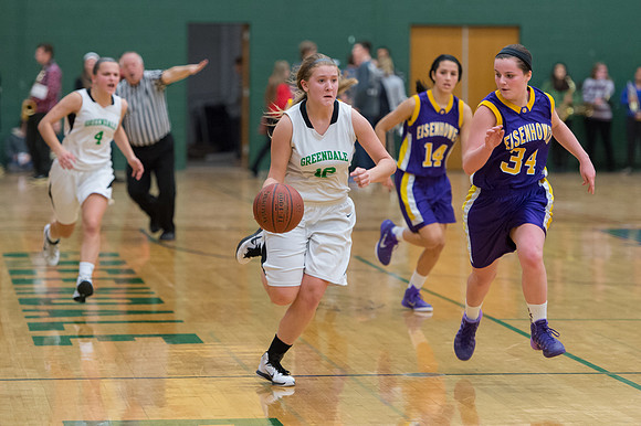 2015 Greendale Girls JV Basketball