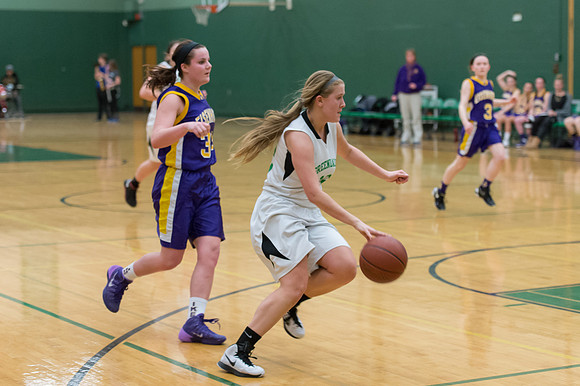2015 Greendale Girls JV Basketball
