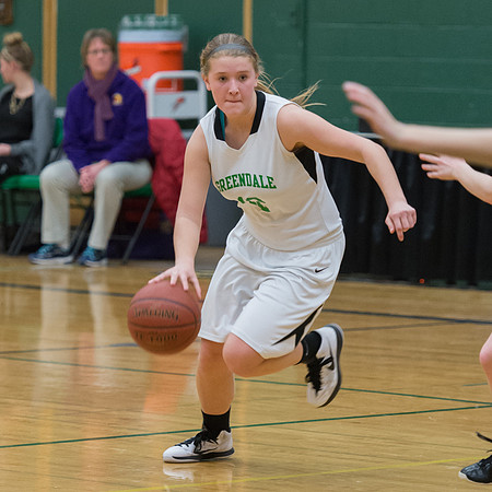 2015 Greendale Girls JV Basketball